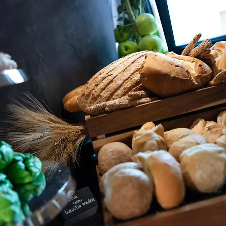 Carnival Palace - Collection 酒店 4*